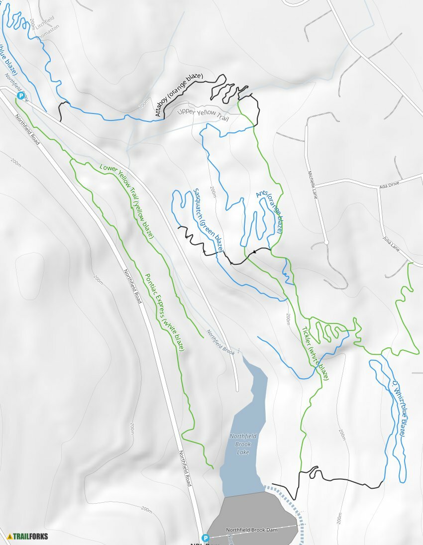 Northfield Brook Lake (NBL), Thomaston Mountain Biking Trails Trailforks