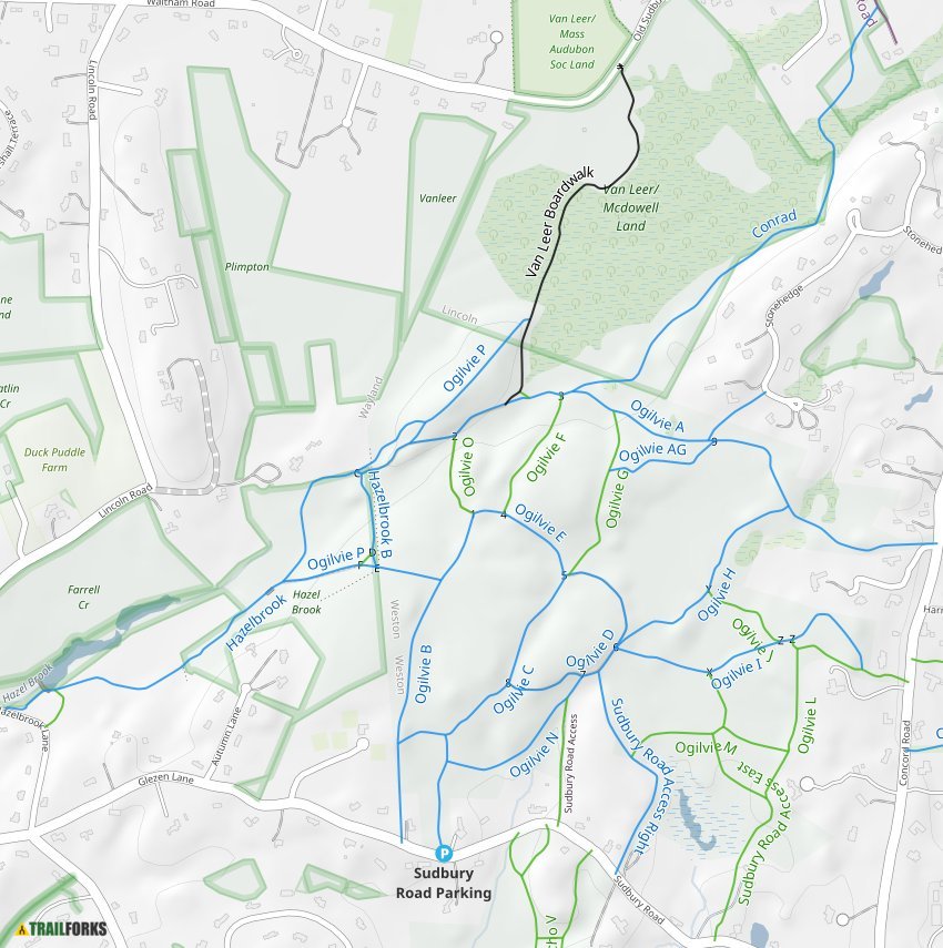 Ogilvie Town Forest Mountain Biking Trails Trailforks