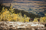 Carcross resident Wayne Roberts came across an abandoned trail underneath the historic Mountain Hero mining tramway in the late 1990s. He cleared out the trail into the subalpine, ran hiking tours on it, and welcomed writer Mitch Scott and photographer John Gibson (on assignment with BIKE) and some mountain biking locals on the first mountain biking descent in September 2000. Wayne is originally from BC. Trails actually drew him to Carcross as he saw an opportunity with the cruise ship tourists from Skagway and scenic, historic trails in Carcross. In this photo we are laboring up the road, about 70% of the way up Montana Mountain.