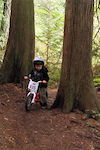 IMBA's "Take a kid Mt biking Day" Anacortes Community Forest Lands.

Sawyer climbing up between two large Red Cedars conserved for our future generation riders to clip bars on.