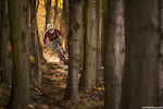 shot in the uphill section of my backyard trail, By Mr. Laue