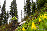 Fernie BC. Big Bikes and Big Descents - Images by Reuben Krabbe