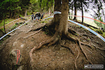 Roots?  Yeah, Meribel has them in all shapes and sizes.