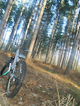 ride about newmillerdam through the trees