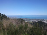 Top of Firball. Looking down on Nelson and Tasman Bay.