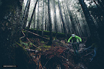 Cold, wet and raw best describe this trail in Squamish. More river than trail but such an amazing atmosphere and location for a wet and foggy winter morning.