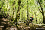 The woods here in Ireland are going to be a loamy rollercoaster ride full of dips, jumps and corners.