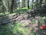 Cut out two trees across trail.