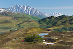 Trail Hunter - Alaska images by Harookz