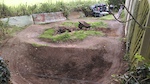 Backyard Pumptrack at my buddy's house. Big plans for this space next summer