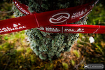 An end of season gift to all fans of DH MTB, tied with a ribbon.... A World Championship match at a beautiful natural kind of track like Vallnord.