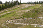 Wide open is the name the game for a lot Trestle Bike Park.