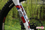 Mojo decals