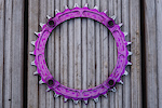 Raceface Narrow Wide Chainring 30T