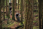 Old Growth Culture Meets New Age Riding
