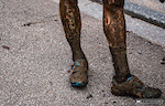 All the legs tat crosses the line had a solid mud coating.
