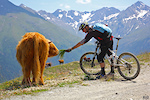 We don't remember days, we remember moments. Create your own memories. MADproductions adventure to Livigno with Monkeymtb.