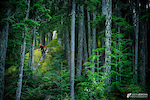 Steve Storey riding his newest creation - Roca Verde trail, Whistler, BC.
