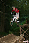 Jumping Flea