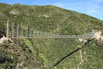 The Wild at Heart bridge on Upswing, the new climbing track at Makara Peak Mountain Bike Park