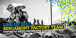 Bergamont Factory Team 2017