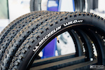 Michelin's new Wild AM tire.