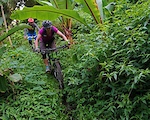 Jungle trail from Parramos started out strong with intense saturated greens through narrow tracks