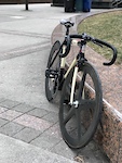 pinarello lungavita for sale