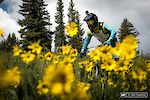 Damien Oton amongst the wild flowers, and trying to find some air.  With the start of stage 2 at just over 11k feet, oxygen is limited.