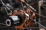 Massif rear hub