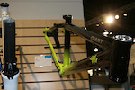 STP frame