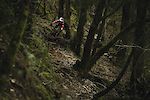 Steep, loose and incredibly well crafted trail threads between the dark woodlands lower down the mountain side.