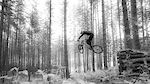 Flying trough the trees in Malmedy