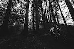 A dark day in the woods from a while back...