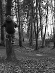 Me riding a tree at Still Woods