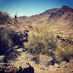 One of the washes to traverse on Bajada Trail