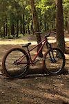 Custom Norco Ryde in the Forest
