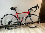 Ridley Excalibur 52.5 cm with Campagnolo Record 11