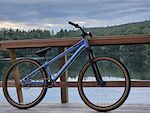 Specialized P3 Custom build