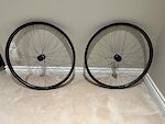 NOBL TR 33 with 350 Hubs (Microspline hub)