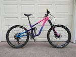 Norco Shore Medium