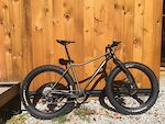 Why Cycles Big Iron Ti XL w/XT, Industry 9, HED, Lauf