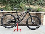 Canyon Spectral 29 CF 8-Excellent Condition