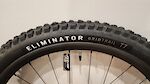Royal Traverse Carbon Wheel and Specialized Tire