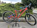 Salsa Redpoint Carbon - Large