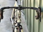 Pegoretti Responsorium / Tazzo / 55cm / Road Bike