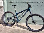 Specialized Epic World Cup Pro Customized
