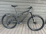 Specialized Epic Evo Large Carbon Sram AXS DT Swiss