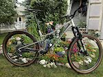 Commencal TEMPO - 125mm Travel - Priced to Sell