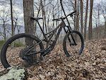 Stumpjumper Expert Carbon with Upgrades S3